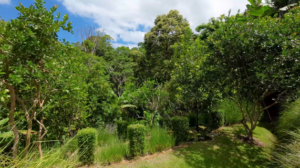 5533 – Ojochal Tropical Hacienda with Epic Ocean View_46