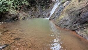 86 Hectare Rainforest Property for Sale in Sabalo, Costa Rica _ 198558 (1)