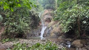 86 Hectare Rainforest Property for Sale in Sabalo, Costa Rica _ 198558 (12)