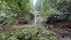 86 Hectare Rainforest Property for Sale in Sabalo, Costa Rica _ 198558 (13)