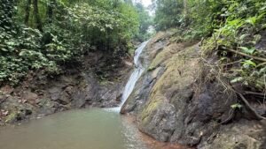 86 Hectare Rainforest Property for Sale in Sabalo, Costa Rica _ 198558 (14)