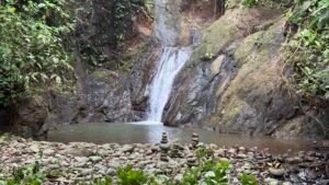 86 Hectare Rainforest Property for Sale in Sabalo, Costa Rica _ 198558 (15)