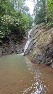 86 Hectare Rainforest Property for Sale in Sabalo, Costa Rica _ 198558 (2)