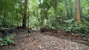 86 Hectare Rainforest Property for Sale in Sabalo, Costa Rica _ 198558 (9)