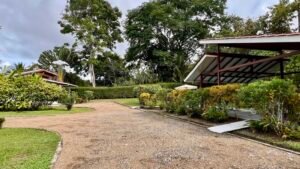 Home, 2 Rental Cabinas & Expansion Potential in Ojochal (25)