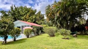 Home, 2 Rental Cabinas & Expansion Potential in Ojochal (34)