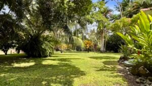 Home, 2 Rental Cabinas & Expansion Potential in Ojochal (36)