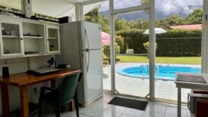 Home, 2 Rental Cabinas & Expansion Potential in Ojochal (41)