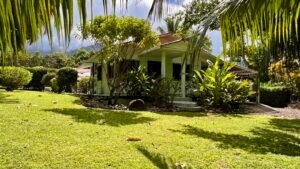 Home, 2 Rental Cabinas & Expansion Potential in Ojochal (47)