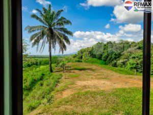 Investment land for sale in costa rica 15 (3)