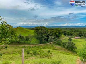 Investment land for sale in costa rica 21 (1)