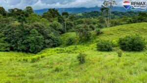 Investment land for sale in costa rica 21 (2)