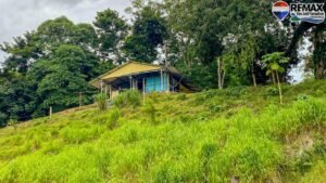Investment land for sale in costa rica 27 (2)