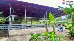 Investment land for sale in costa rica 27 (4)