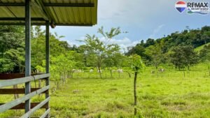 Investment land for sale in costa rica 27 (7)