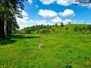 Investment land for sale in costa rica 30 (3)
