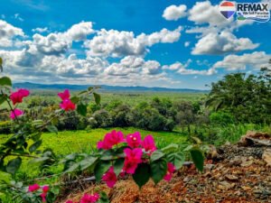 Investment land for sale in costa rica 30 (5)