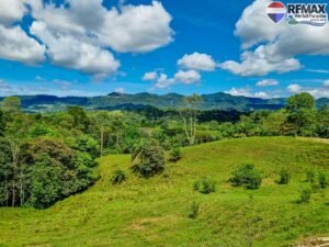 Investment land for sale in costa rica 30 (6)