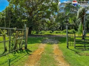Investment land for sale in costa rica 31