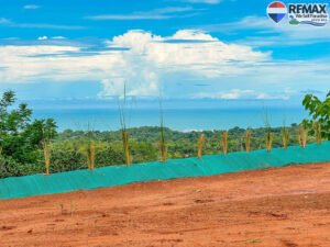 Land for sale in Ojochal 3