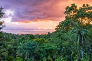Luxury Ocean View Estate for Sale in Uvita, Costa Rica – 198113 (23)