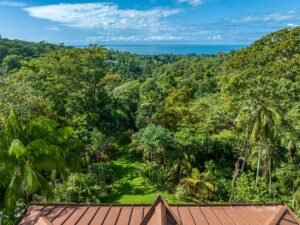 Luxury Ocean View Estate for Sale in Uvita, Costa Rica – 198113 (6)
