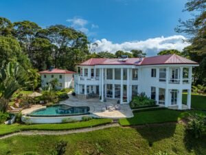 Luxury Ocean View Estate in Dominical Costa Rica 16 Acres _ 198339 (24)