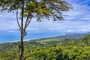 Luxury Ocean View Estate in Dominical Costa Rica 16 Acres _ 198339 (9)
