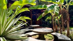 Tropical River Property with Cabinas, Pool & Event Space in Ojochal_ 198371 (1)