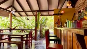 Tropical River Property with Cabinas, Pool & Event Space in Ojochal_ 198371 (16)