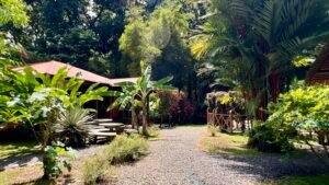 Tropical River Property with Cabinas, Pool & Event Space in Ojochal_ 198371 (20)