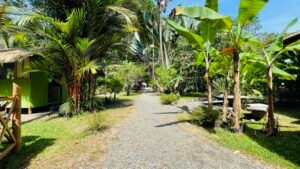 Tropical River Property with Cabinas, Pool & Event Space in Ojochal_ 198371 (21)