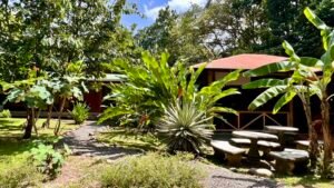 Tropical River Property with Cabinas, Pool & Event Space in Ojochal_ 198371 (22)