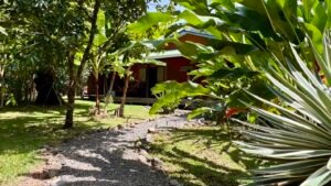 Tropical River Property with Cabinas, Pool & Event Space in Ojochal_ 198371 (23)