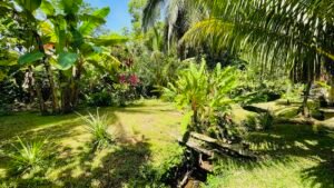 Tropical River Property with Cabinas, Pool & Event Space in Ojochal_ 198371 (30)