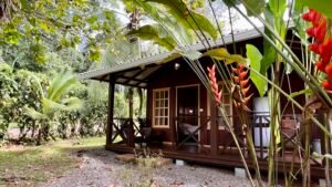 Tropical River Property with Cabinas, Pool & Event Space in Ojochal_ 198371 (31)