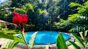 Tropical River Property with Cabinas, Pool & Event Space in Ojochal_ 198371 (4)