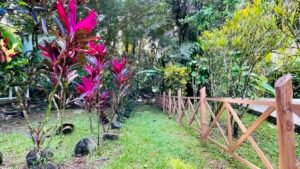 Tropical River Property with Cabinas, Pool & Event Space in Ojochal_ 198371 (42)