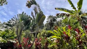Tropical River Property with Cabinas, Pool & Event Space in Ojochal_ 198371 (43)