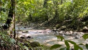 Tropical River Property with Cabinas, Pool & Event Space in Ojochal_ 198371 (7)