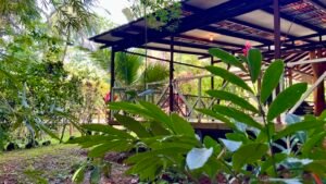 Tropical River Property with Cabinas, Pool & Event Space in Ojochal_ 198371 (8)