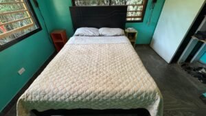 Two Villas for Sale in Uvita Costa Rica Investment Property_ 198475 (19)