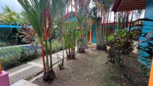 Two Villas for Sale in Uvita Costa Rica Investment Property_ 198475 (21)