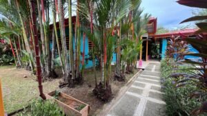 Two Villas for Sale in Uvita Costa Rica Investment Property_ 198475 (31)