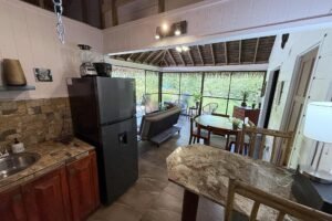 1-Bedroom Jungle Home with Private Pool in Ojochal Costa Rica-01 (10)