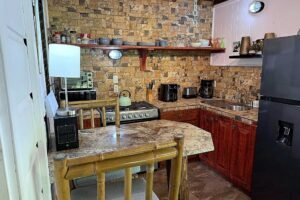 1-Bedroom Jungle Home with Private Pool in Ojochal Costa Rica-01 (15)
