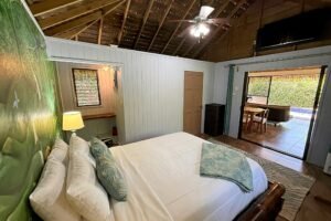 1-Bedroom Jungle Home with Private Pool in Ojochal Costa Rica-01 (19)