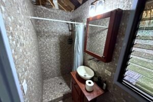 1-Bedroom Jungle Home with Private Pool in Ojochal Costa Rica-01 (22)