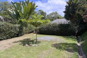 1-Bedroom Jungle Home with Private Pool in Ojochal Costa Rica-01 (25)