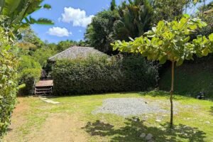1-Bedroom Jungle Home with Private Pool in Ojochal Costa Rica-01 (26)